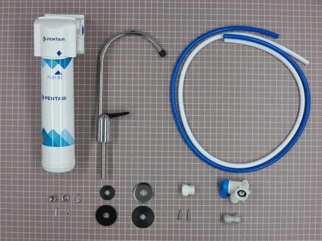 Pentair (F1000-B1B) 1-Stage Filtration System 158838