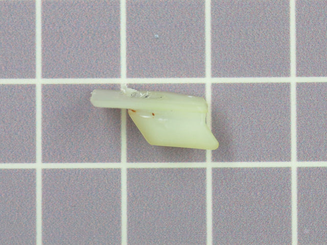 Hinge Stopper 357213