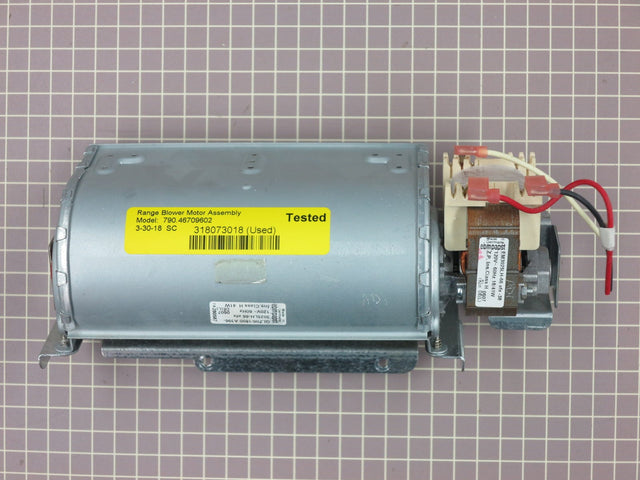 Blower Motor Assembly 318073018