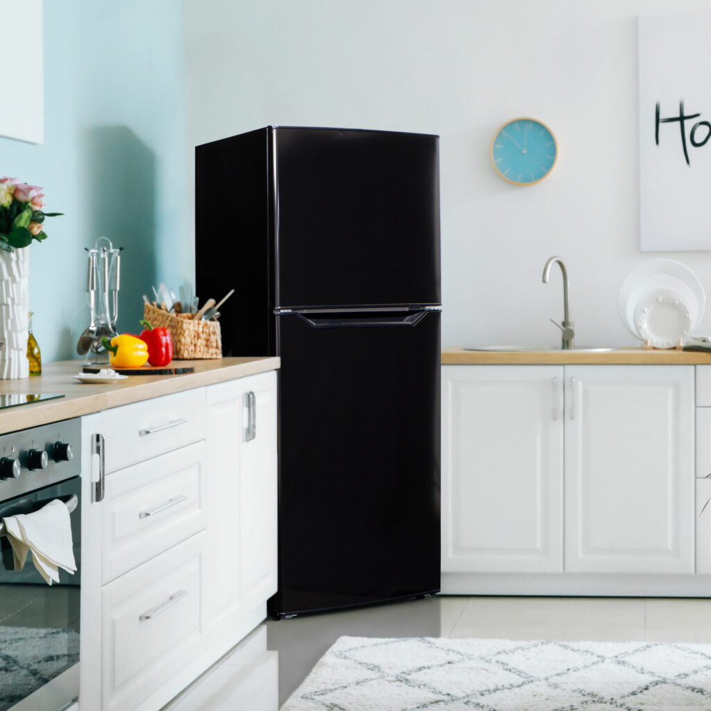 Danby 10.1 cu. ft. Apartment Size Refrigerator DFF101B1BDB