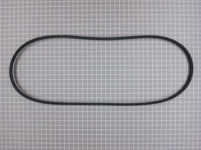 Belt Y311012