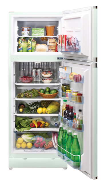 Unique 10 cu/ft Classic Retro Summer Mint Green Propane Refrigerator Standard Model UGP-10C CR SM LG