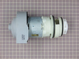 Pump and Motor Assembly 154844001