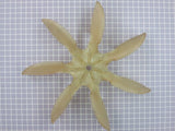 Fan Blade 5304459697