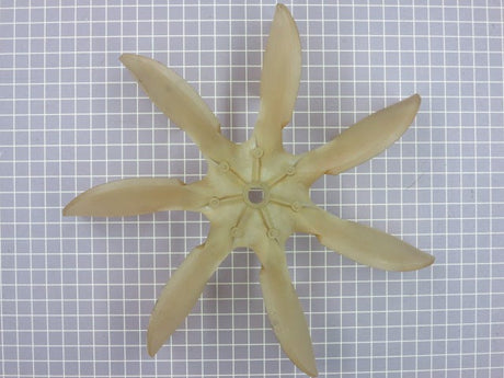 Fan Blade 5304459697