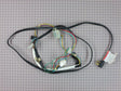Power Cord/Wire Harness 241607001