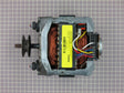 Drive Motor 37623