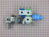Water Inlet Valve 242253002