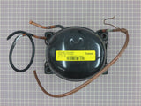 Compressor 216966300