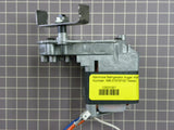 Auger Motor 12501001