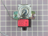 Thermostat 216620100