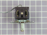 Thermostat 216620100