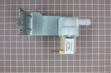 Inlet Valve 17476000001190