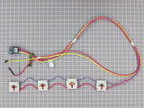 Igniter Switch and Harness Assembly WB18K10068