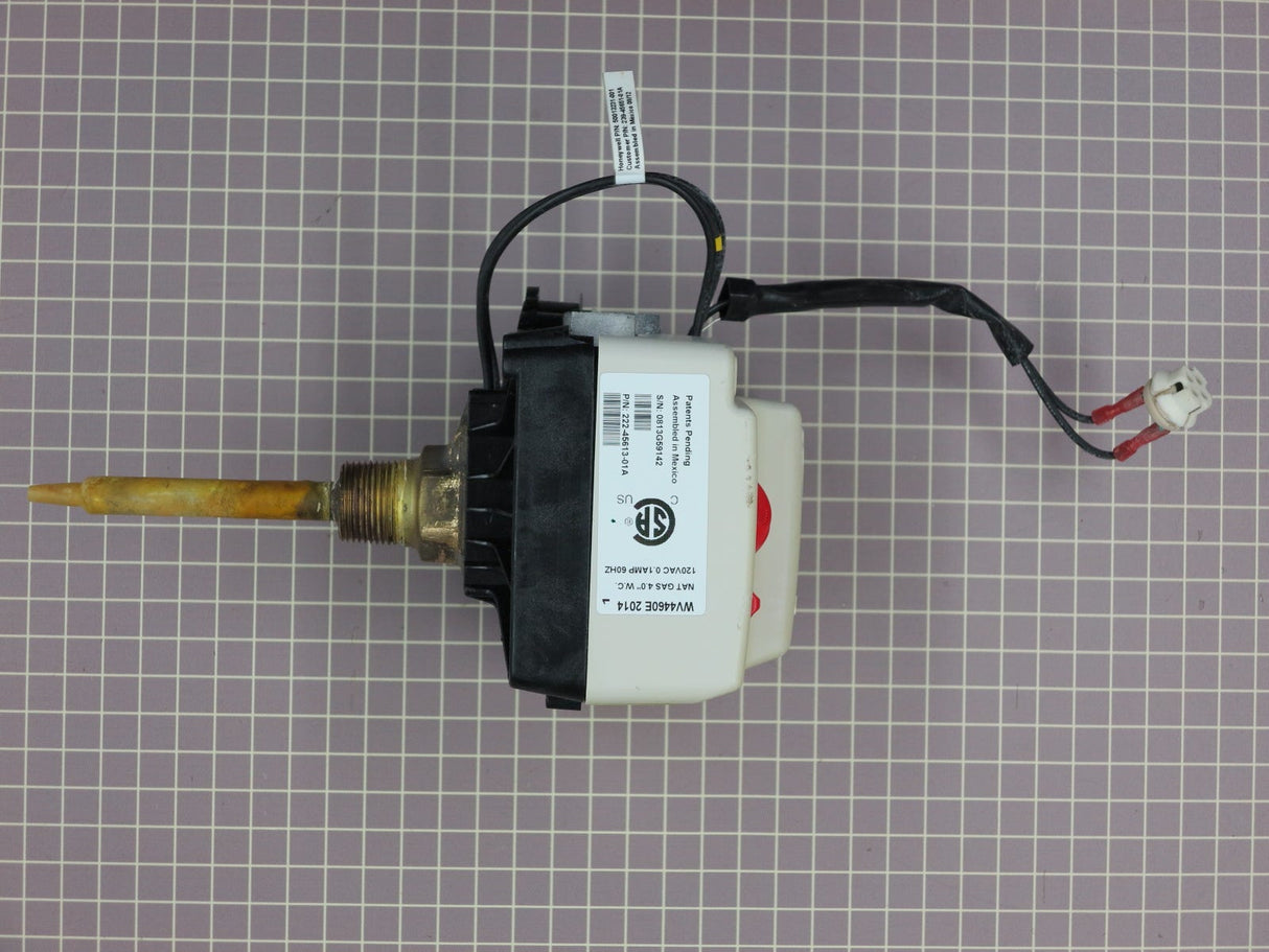 Natural Gas Valve 239-45613-01