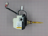 Natural Gas Valve 239-45613-01