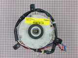 Fan Motor 309647502