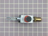 Kit Valve and Screw (6.5K) 12002341