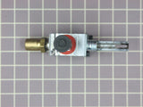 Kit Valve and Screw (12K) 12002342