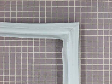 Door Gasket 63001418