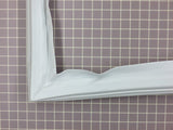Door Gasket 63001399
