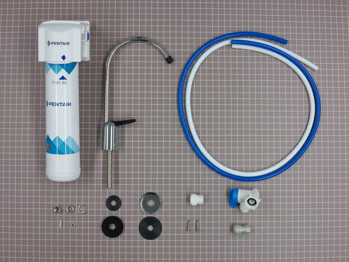 Pentair (F1000-B1B) 1-Stage Filtration System 158838