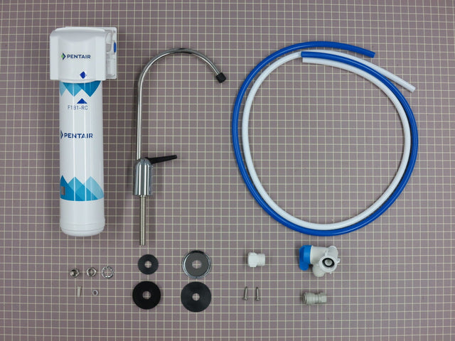 Pentair (F1000-B1B) 1-Stage Filtration System 158838