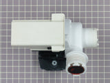 Drain Pump 137311900