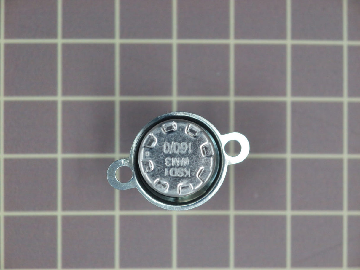 Thermostat WB20X10048