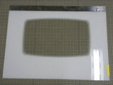 Door Glass 74008681