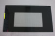 Door Glass 318041109