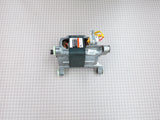 Drive Motor 660487