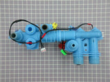 Valve W10059310