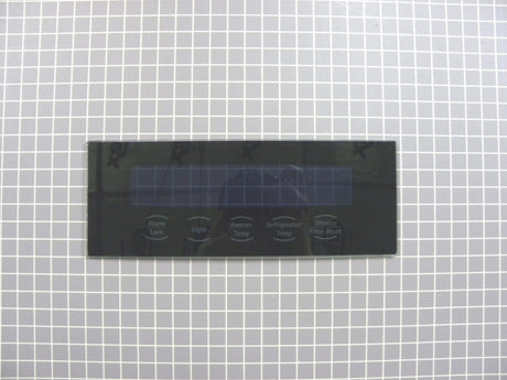 Door Glass Overlay 4890JD1110B