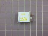 Indicator Light, 250 Volts 316022503