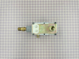 Valve Only 3196891