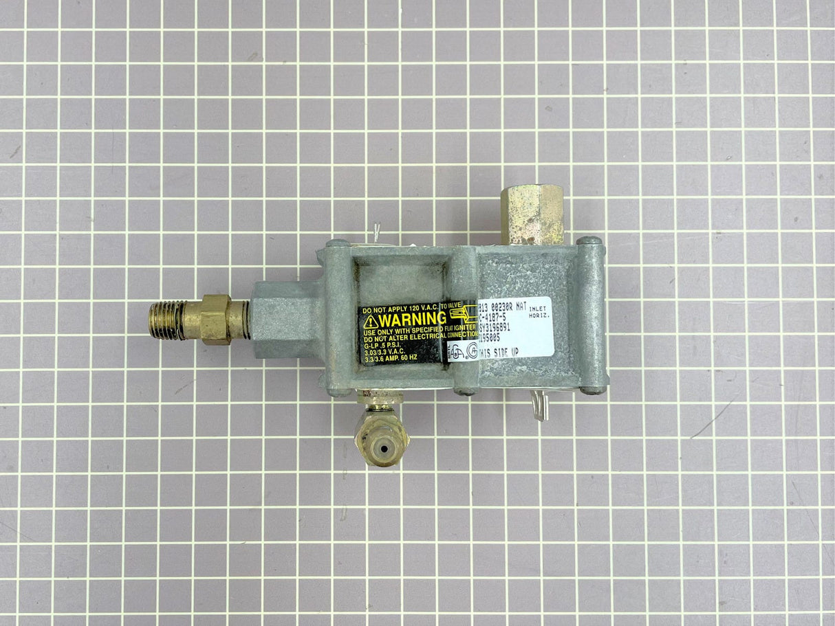 Valve Only 3196891