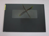 Door Glass 309069