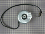 Condenser Fan Motor 10884501