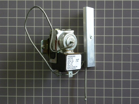 Temperature Control/Thermostat 216260300
