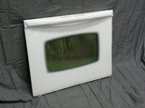 Door Glass 74008681