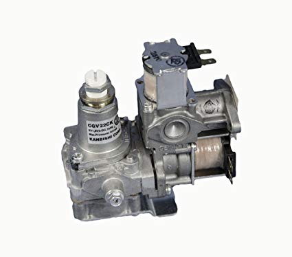Gas Valve Assembly 5221EL2002A