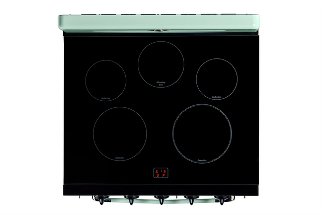 Unique 30' Classic Retro Induction Range Summer Mint Green UNQ-30CR IC LG