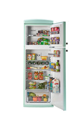 Unique 310L Summer Mint Green Top Mount Refrigerator UNQ-310L LG TM