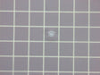 Light Lens (Clear) 316557300