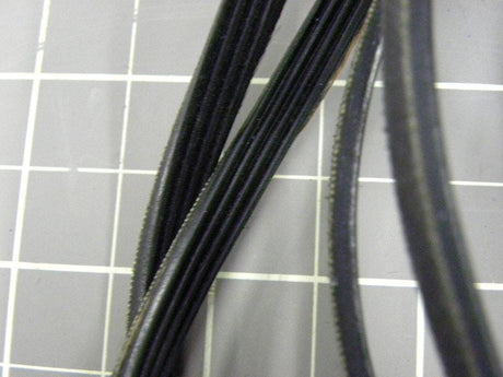 Drum Belt 8066065