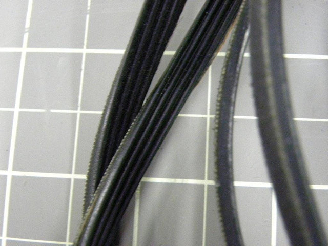 Drum Belt 8066065