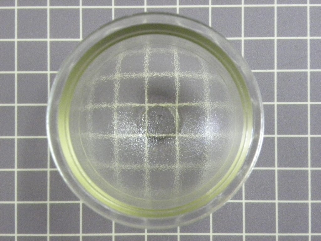 Light Lens Cover 74003389