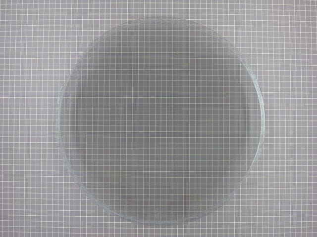 Glass Outer Door Lens 134550600