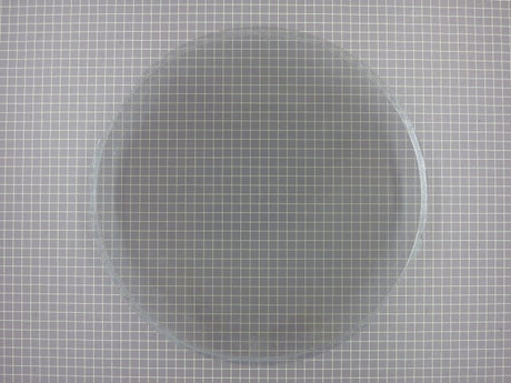 Glass Outer Door Lens 134550600